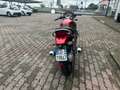 Moto Guzzi Breva 750 BREVA V750 IE Rosso - thumbnail 10