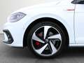 Volkswagen Polo GTI GTI TSI DSG Weiß - thumbnail 39