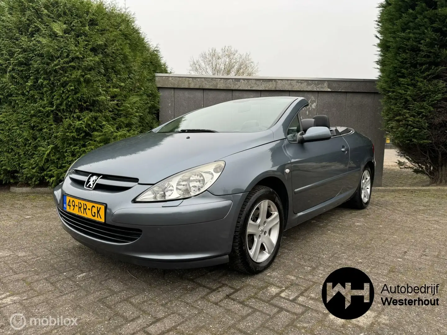 Peugeot 307 CC 2.0-16V Cabrio Nieuwe APK Leder Stoelverwarming Gris - 2