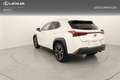 Lexus UX 250h Executive Navigation 2WD - thumbnail 10