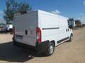 Fiat Ducato furgone lungo tetto basso Bianco - thumbnail 4