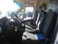 Fiat Ducato furgone lungo tetto basso Bianco - thumbnail 9