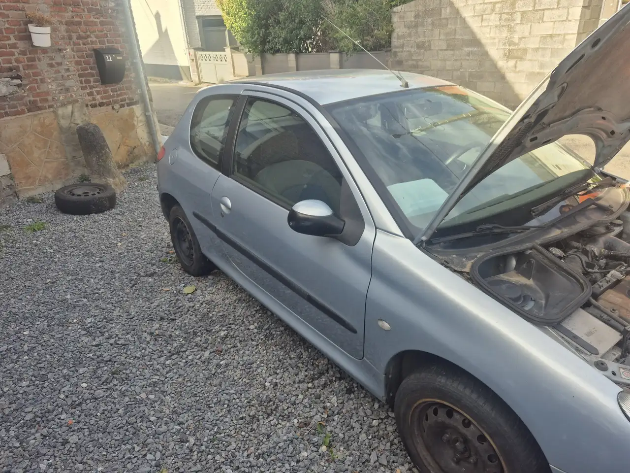Peugeot 206 1.1i XR, foto 2