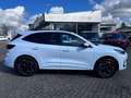 Ford Kuga Plug-In Hybrid ST-Line X Autom. ACC / 360° Weiß - thumbnail 4