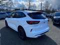 Ford Kuga Plug-In Hybrid ST-Line X Autom. ACC / 360° Weiß - thumbnail 5