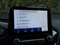 Ford Puma 1.0 EcoBoost Hybrid ST-Line Panorama Camera Blauw - thumbnail 15