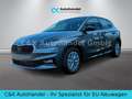 Skoda Fabia 130 Jahre 1.0 TSI 85 kW / 116 PS 7-DSG Grau - thumbnail 1