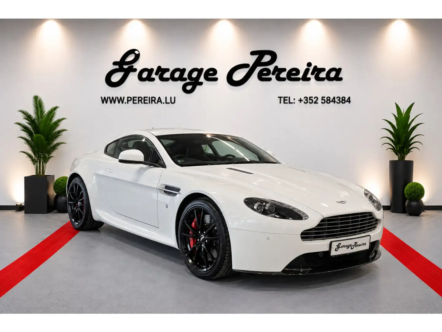 Aston Martin V8 Vantage EUROPA CARBON CUIR NAVI Weiß - 1
