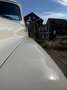 Ford F 100 Oldtimer Weiß - thumbnail 15