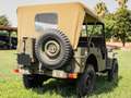 Jeep Willys - thumbnail 4