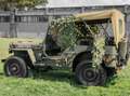 Jeep Willys - thumbnail 10
