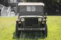 Jeep Willys - thumbnail 3