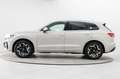 Volkswagen Touareg 3.0 TDI 4M R-Line AHK Luft Matrix HUD Beige - thumbnail 15