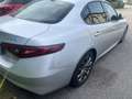 Alfa Romeo Giulia 2.2 t Business 150cv auto Argento - thumbnail 7