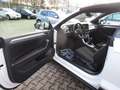 Volkswagen T-Roc Style mit Alu-ESP-NAVI-Car Play-6 Gang Tempom PDC! Blanco - thumbnail 12