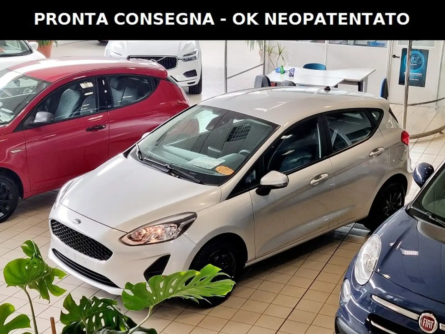 usato Ford Fiesta SUV/Fuoristrada/Pick-up a Rubano - Padova - Pd per €  11.800,-