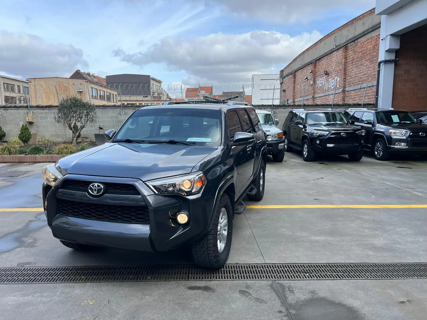 Toyota 4-Runner ONLY FOR EPORT OUT OF EUROPE Grau - 2
