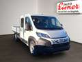 Fiat Ducato MAXI PRITSCHE DK L4 35 Weiß - thumbnail 16