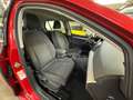 Volkswagen Golf VIII Lim. Life,IQLight,Panorama,Navi,Assist Rosso - thumbnail 9