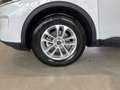 Ford Kuga Hybrid Titanium Bluetooth Navi Klima Weiß - thumbnail 15