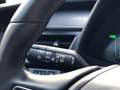 Lexus UX 250h First Edition Premium | Dodehoekherkenning, Parkee Grijs - thumbnail 27