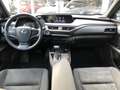 Lexus UX 250h First Edition Premium | Dodehoekherkenning, Parkee Grijs - thumbnail 14