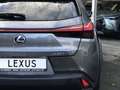 Lexus UX 250h First Edition Premium | Dodehoekherkenning, Parkee Grijs - thumbnail 8