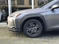 Lexus UX 250h First Edition Premium | Dodehoekherkenning, Parkee Grijs - thumbnail 7