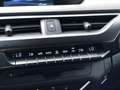 Lexus UX 250h First Edition Premium | Dodehoekherkenning, Parkee Grijs - thumbnail 32