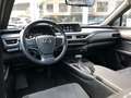 Lexus UX 250h First Edition Premium | Dodehoekherkenning, Parkee Grijs - thumbnail 12