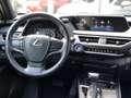 Lexus UX 250h First Edition Premium | Dodehoekherkenning, Parkee Grijs - thumbnail 13