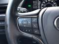 Lexus UX 250h First Edition Premium | Dodehoekherkenning, Parkee Grijs - thumbnail 25