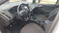 Ford Focus 1.5 TDCI 120 ST-Line - thumbnail 8