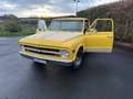 Chevrolet S-10 C10 Żółty - thumbnail 14