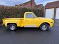 Chevrolet S-10 C10 Żółty - thumbnail 6
