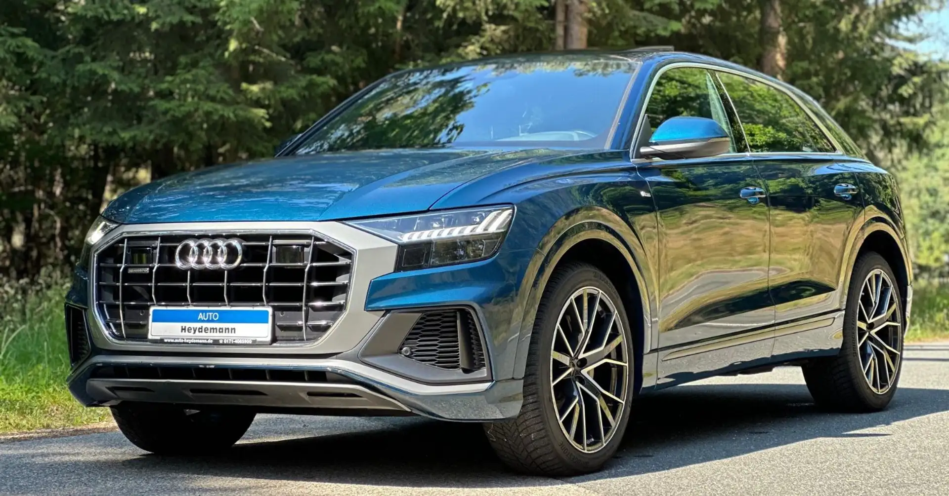 Audi Q8 50 TDI quattro tiptronic S line Pano ACC Albastru - 1