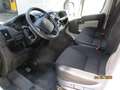 Fiat Ducato L2H2/117500km/AdBlue Neu/Zahnr.Neu Weiß - thumbnail 5