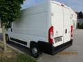 Fiat Ducato L2H2/117500km/AdBlue Neu/Zahnr.Neu Weiß - thumbnail 2