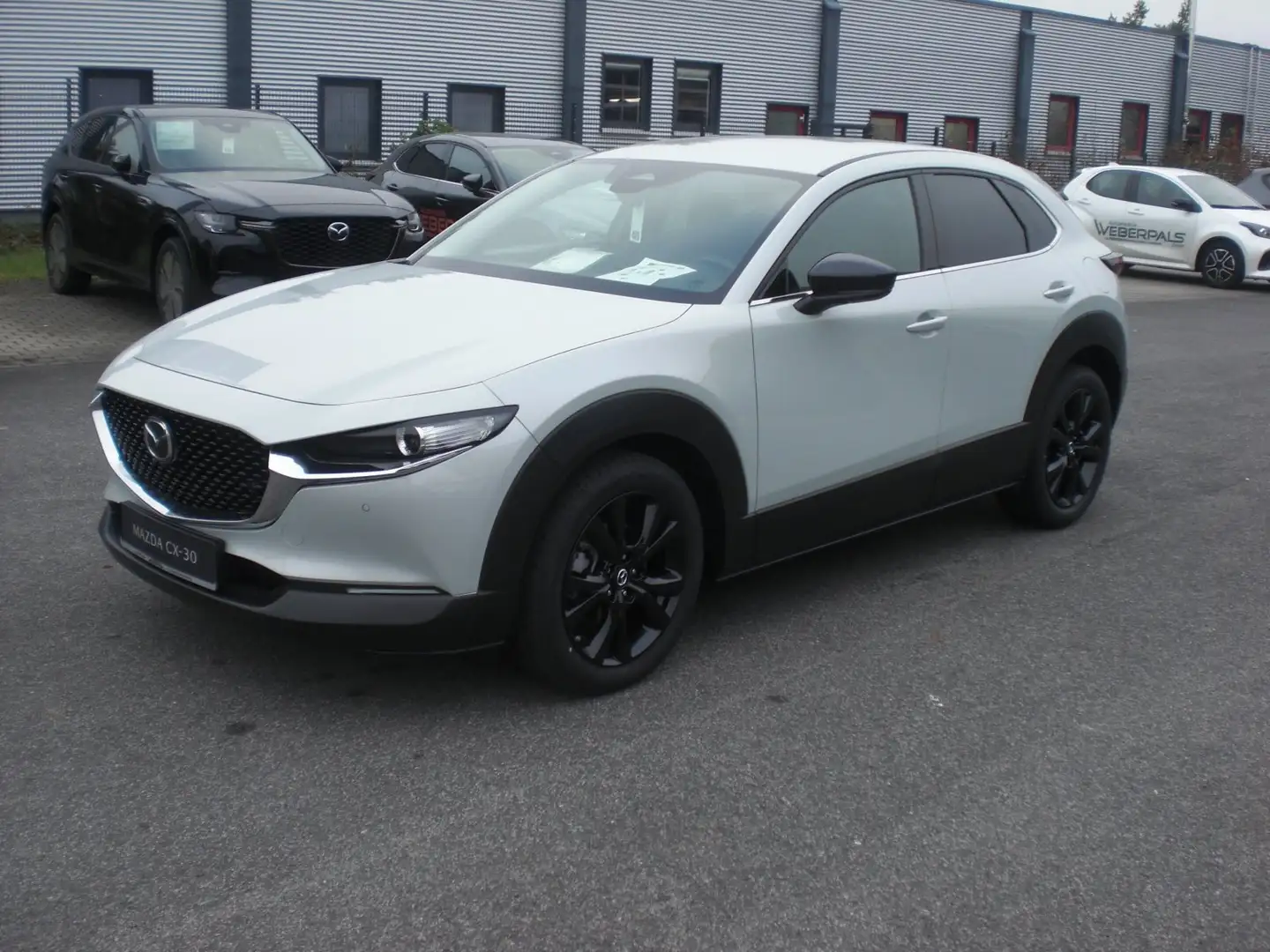 Mazda CX-30 Homura 2WD Grau - 1