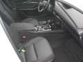 Mazda CX-30 Homura 2WD Grau - thumbnail 9