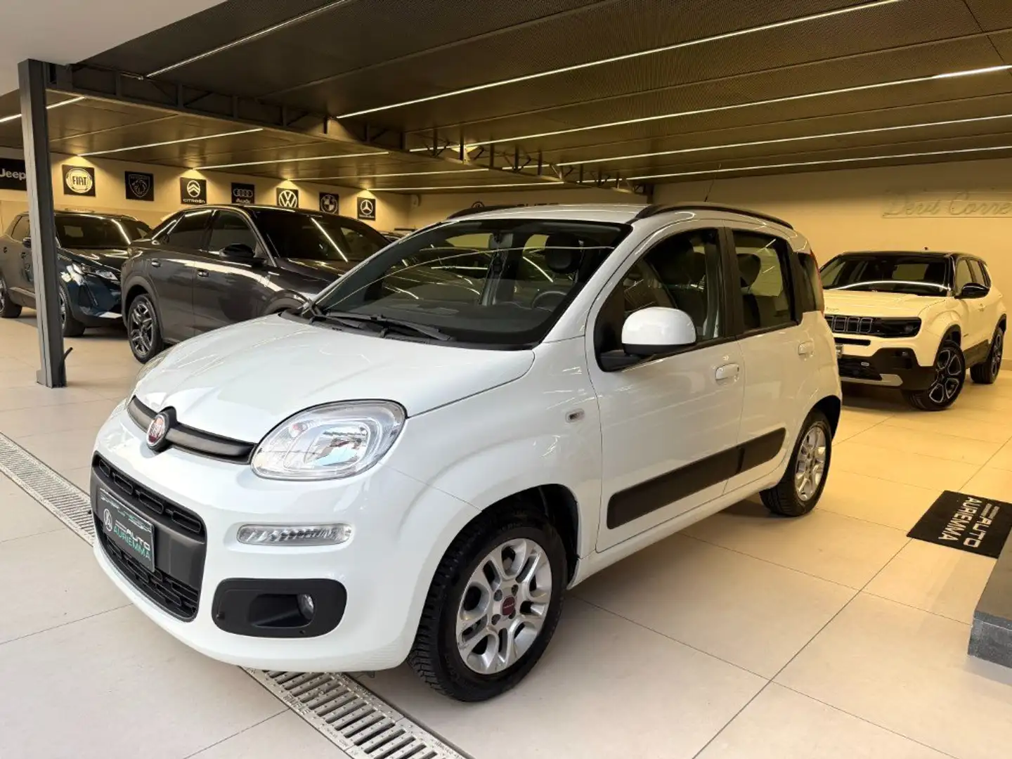 Fiat Panda 1200 LOUNGE + CERCHI IN LEGA UNICOPROPRIETARIO Bianco - 1