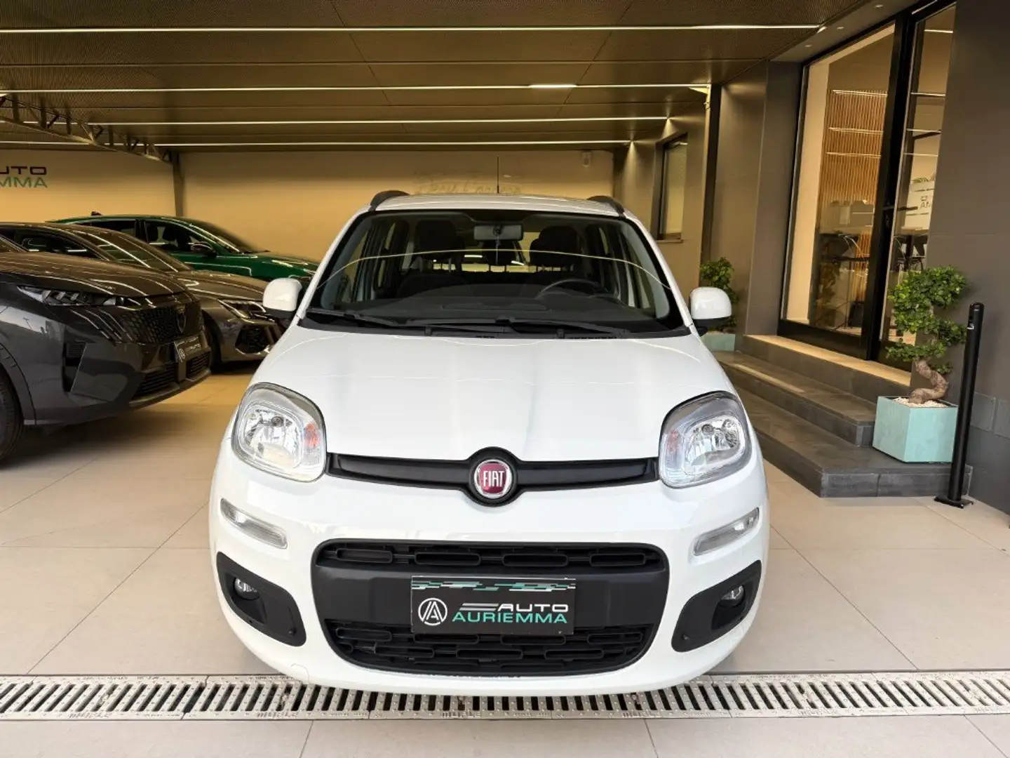 Fiat Panda 1200 LOUNGE + CERCHI IN LEGA UNICOPROPRIETARIO Bianco - 2