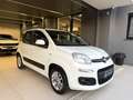 Fiat Panda 1200 LOUNGE + CERCHI IN LEGA UNICOPROPRIETARIO Bianco - thumbnail 3
