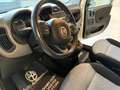 Fiat Panda 1200 LOUNGE + CERCHI IN LEGA UNICOPROPRIETARIO Bianco - thumbnail 11