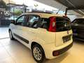 Fiat Panda 1200 LOUNGE + CERCHI IN LEGA UNICOPROPRIETARIO Bianco - thumbnail 6