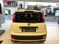 Fiat Panda 1200 LOUNGE + CERCHI IN LEGA UNICOPROPRIETARIO Bianco - thumbnail 5