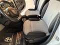 Fiat Panda 1200 LOUNGE + CERCHI IN LEGA UNICOPROPRIETARIO Bianco - thumbnail 7