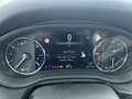 Opel Insignia Elegance 2.0D*NAVI*SHZ*AHK*uvm Blau - thumbnail 9