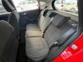 Ford Fiesta 1.1 5 porte Plus -anche neo pat Rosso - thumbnail 10