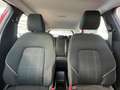 Ford Fiesta 1.1 5 porte Plus -anche neo pat Rosso - thumbnail 8